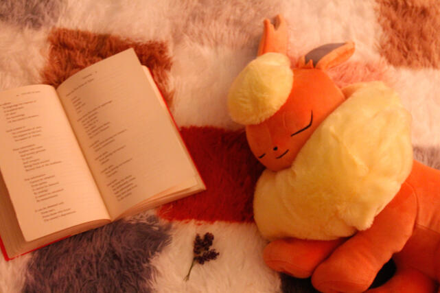 Relaxed Flareon Relaxed Flareon